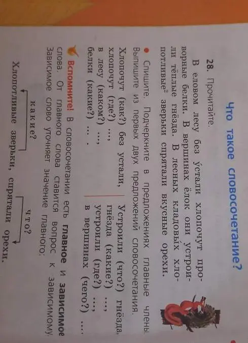 Что такое словосочетание и как его определить в предложении?
