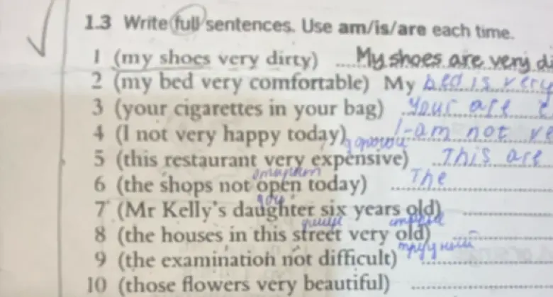 Напиши полные предложения, используя am/is/are каждый раз. 1 (my shoes very dirty)
