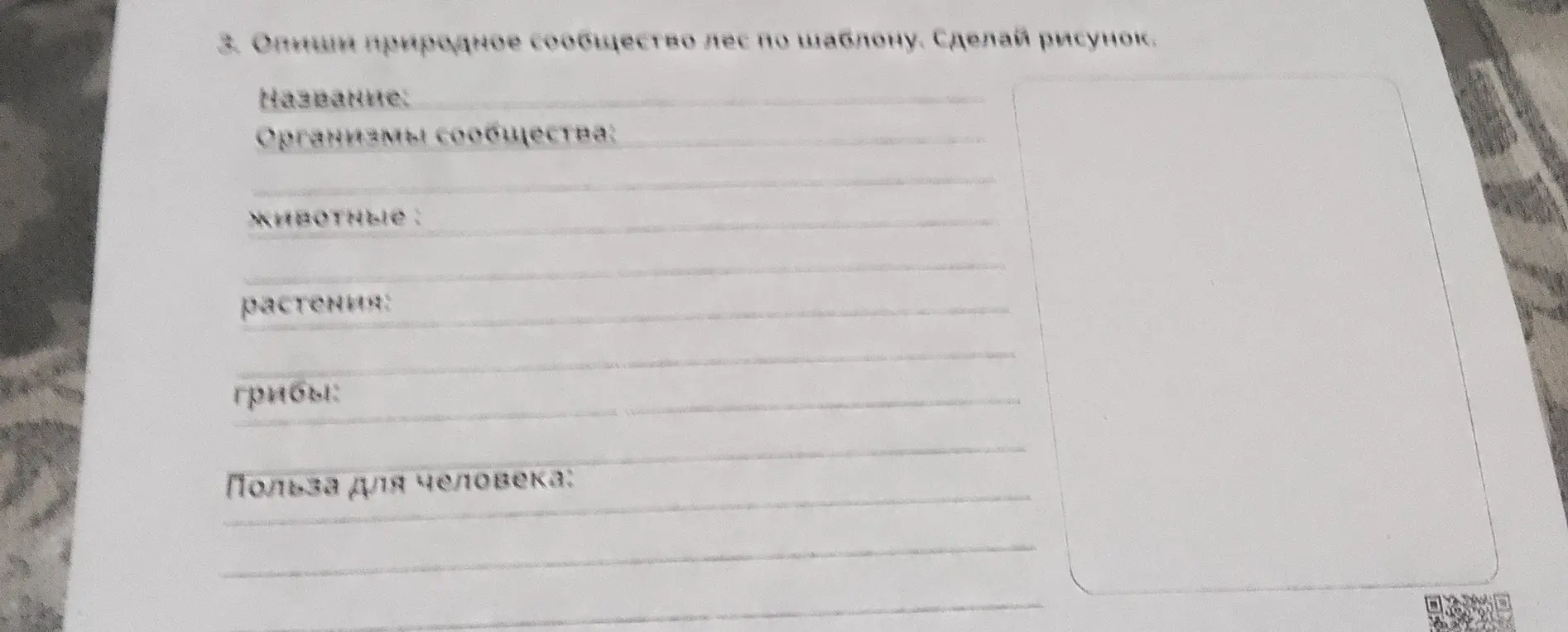 Опиши природное сообщество лес по шаблону