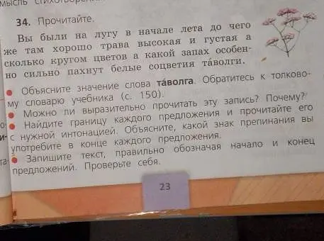 Ты просишь объяснить значение слова «таволга», выразительно прочитать запись, найти границы каждого предложения и объяснить, какой знак препинания употребить в конце каждого предложения.