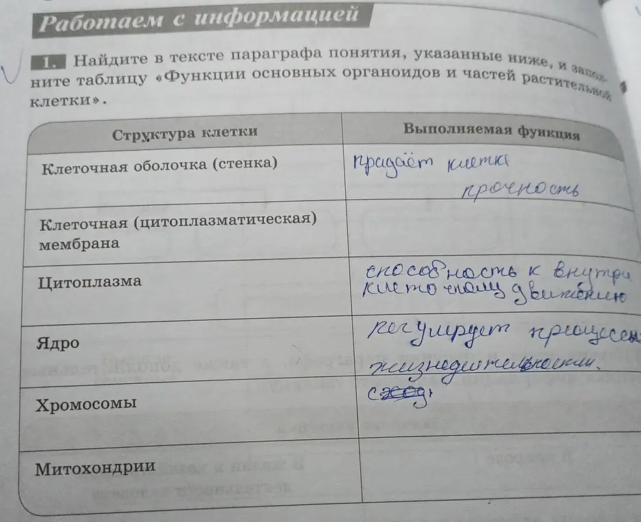 Можешь ли ты заполнить таблицу про функции основных органоидов и частей растительной клетки?