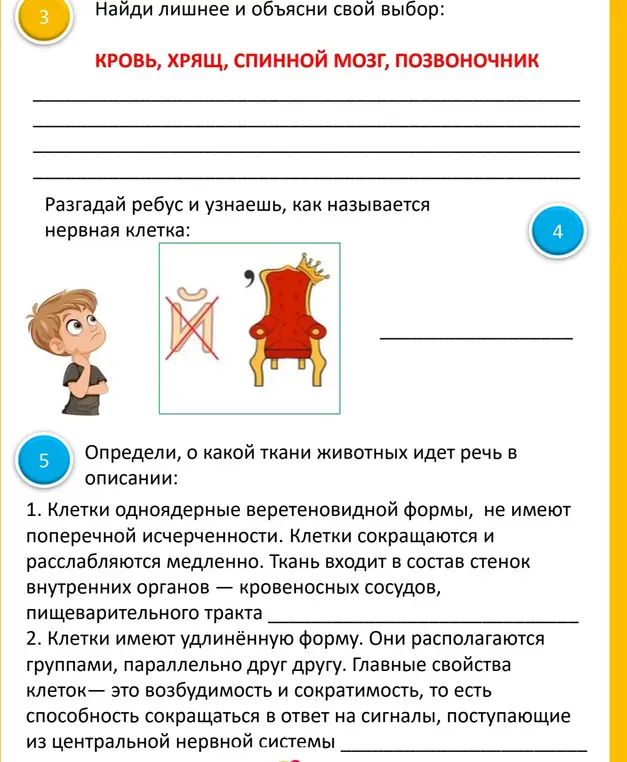 Выполни задания по биологии: найди лишнее слово, реши ребус и определи ткани животных по описанию.