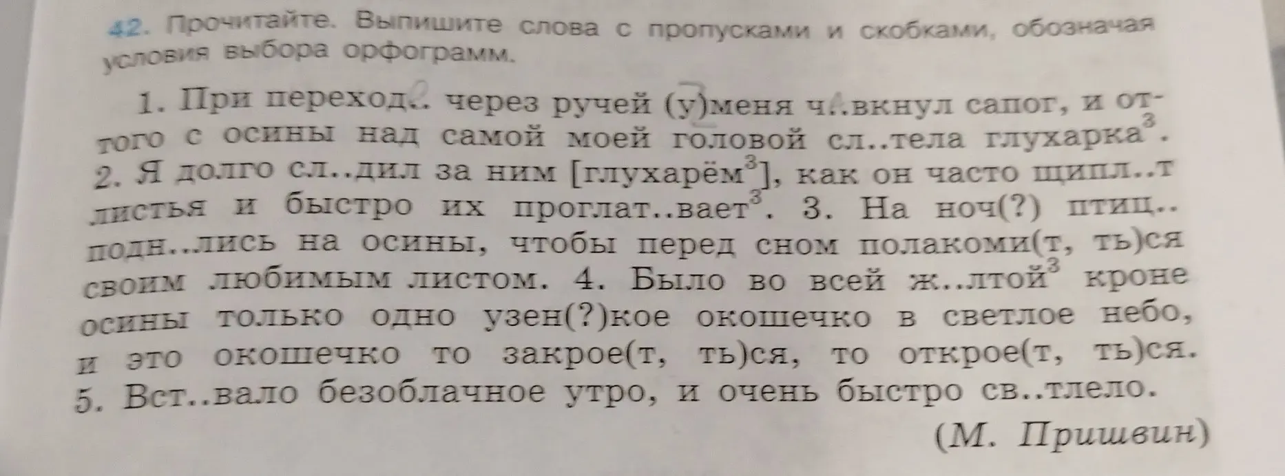 Выпиши слова с пропусками и скобками, обозначая условия выбора орфограмм из первого предложения.