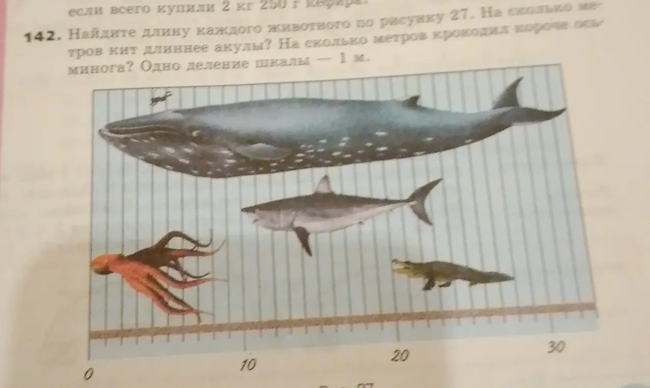Найди длину каждого животного по рисунку, на сколько метров кит длиннее акулы и на сколько метров крокодил короче осьминога.
