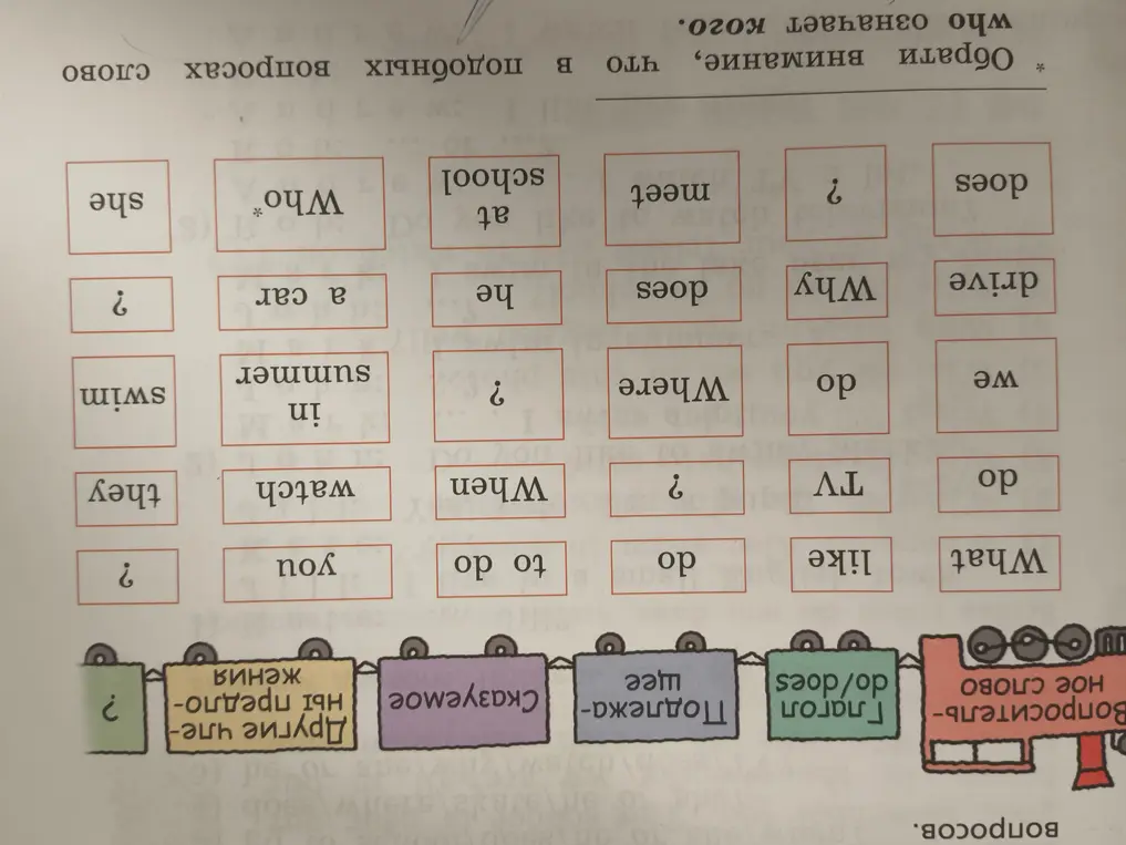 Помоги составить вопросы на английском языке по предложенной схеме