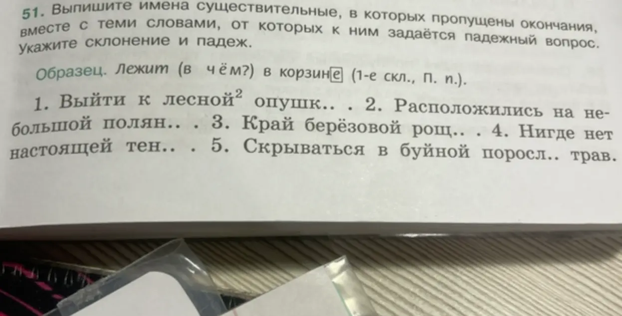 В упражнении по русскому языку тебе нужно вставить окончания в имена существительные и определить их склонение и падеж в предложениях.