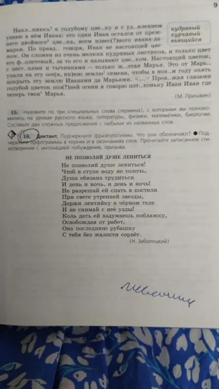Ты просишь подчеркнуть фразеологизмы в диктанте и указать их значение.