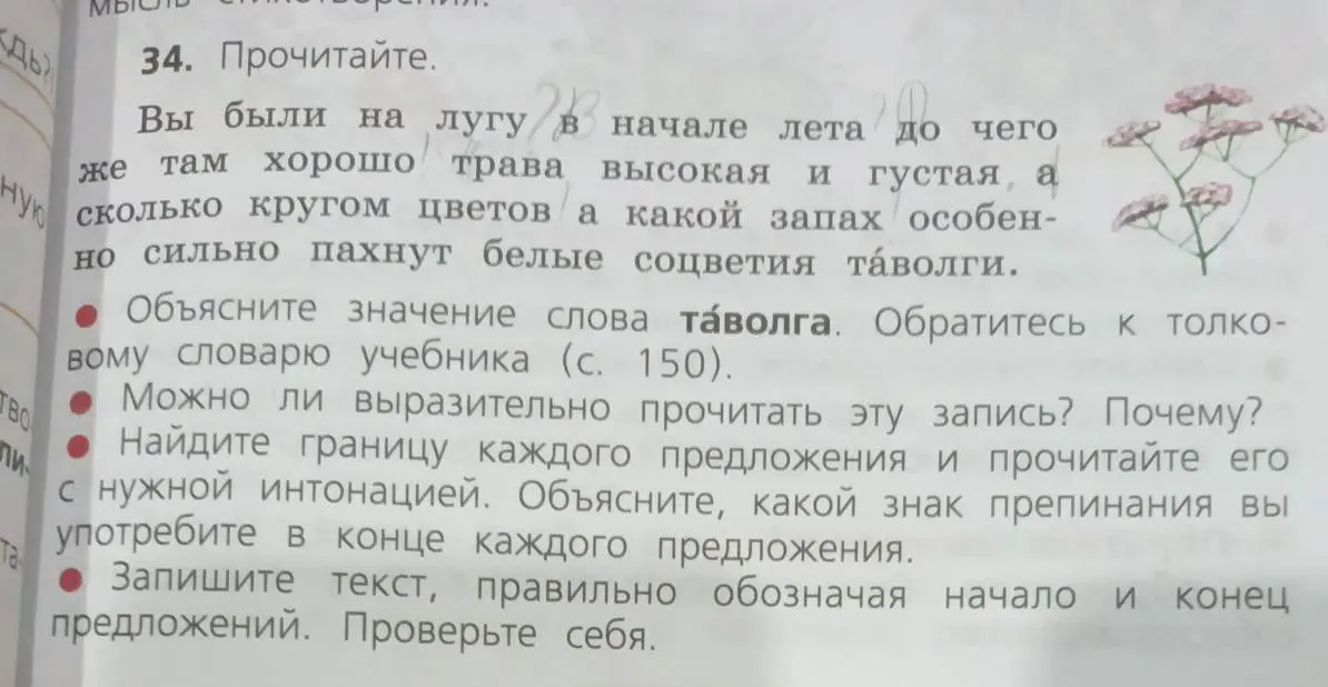 Объясни значение слова таволга из текста; можно ли выразительно прочитать эту запись; найди границу каждого предложения и прочитайте его с нужной интонацией; запиши текст, правильно обозначая начало и конец предложений