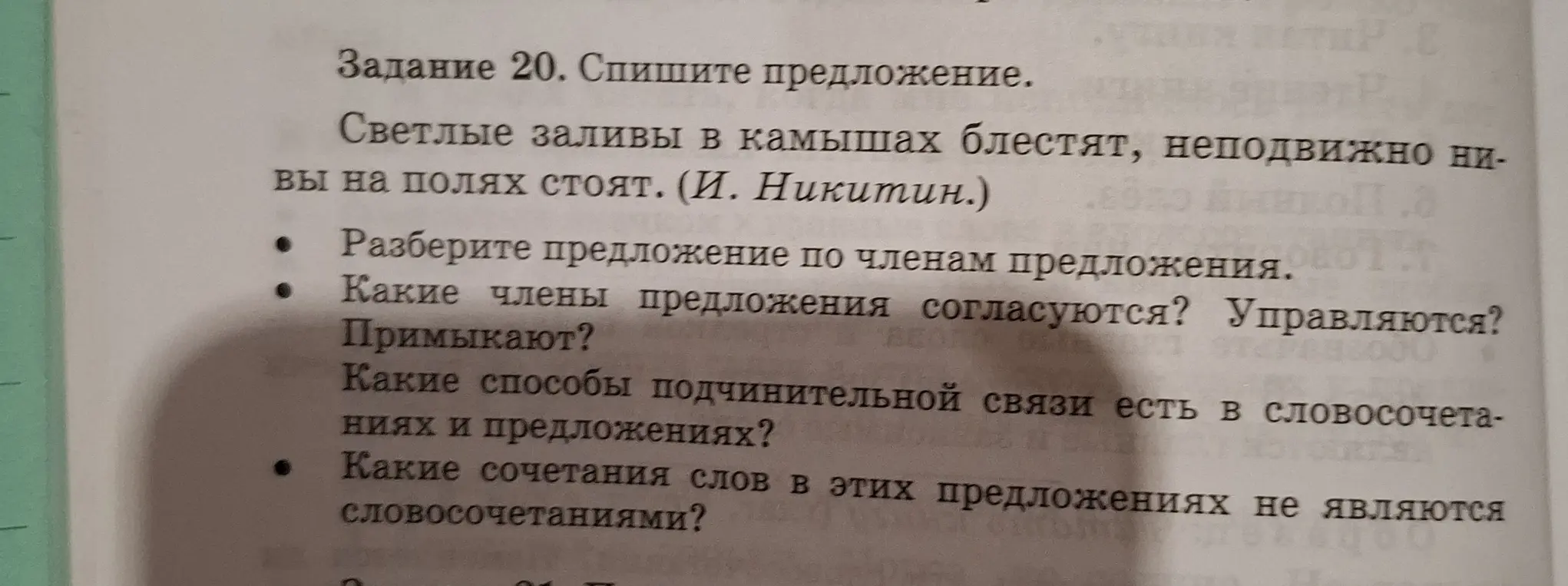 Выполни разбор предложения 'Светлые заливы в камышах блестят, неподвижно нивы на полях стоят' по членам предложения