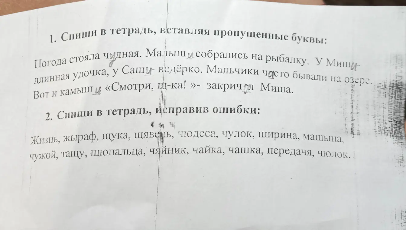 Ты просишь списать в тетрадь текст, вставляя пропущенные буквы. Также просишь списать в тетрадь слова, исправив ошибки.