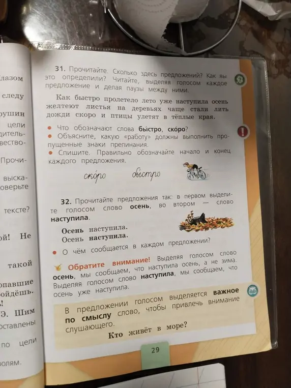 Выполни задания из упражнений 31 и 32