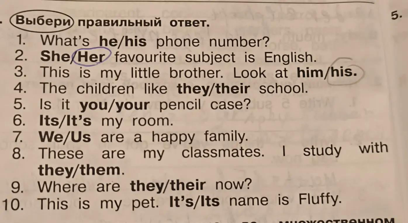 Выбери правильный ответ в задании 'What's he/his phone number?'