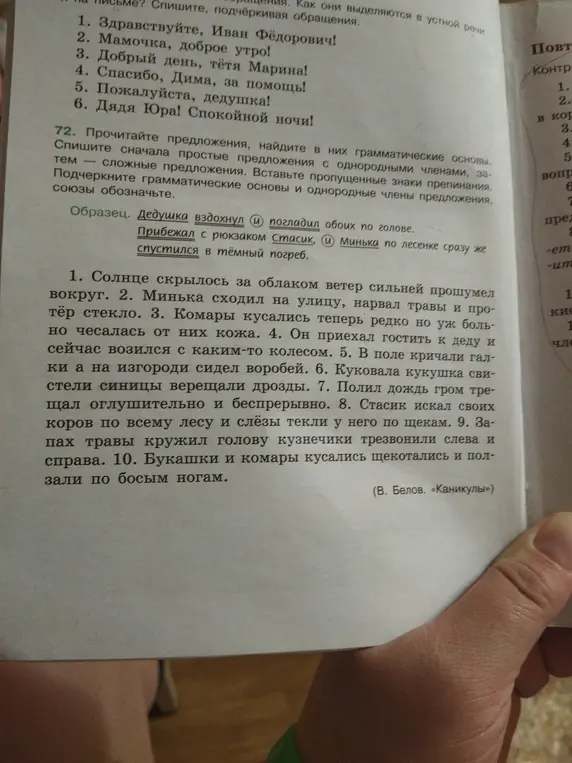 Помоги мне прочитать предложения, найти в них грамматические основы, подчеркнуть грамматические основы и однородные члены предложения, союзы обозначить.