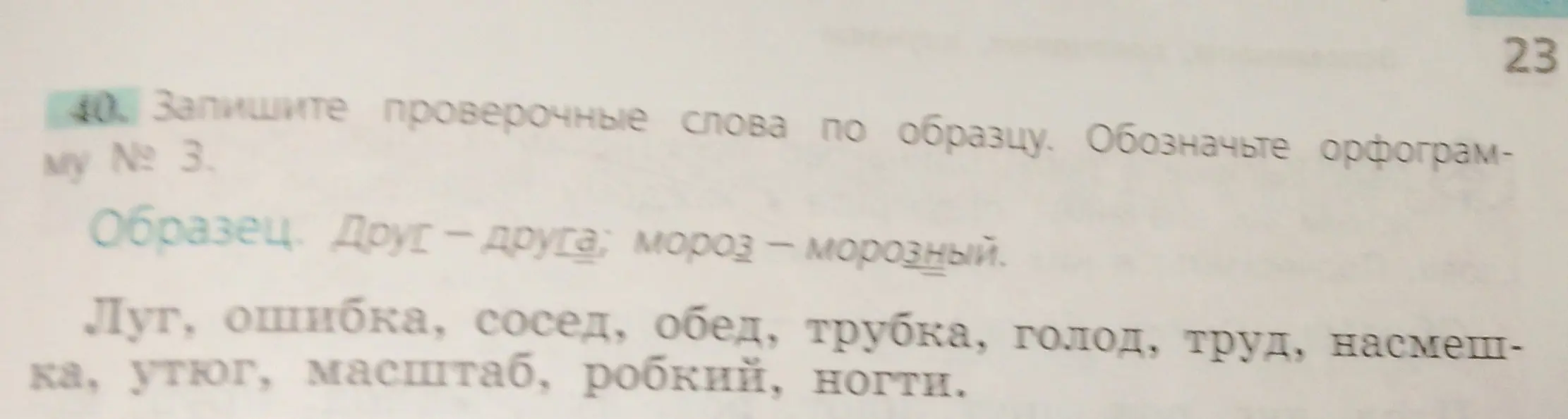 Запиши проверочные слова по образцу к словам: луг, ошибка, сосед, обед, трубка, голод, труд, насмешка, утюг, масштаб, робкий, ногти