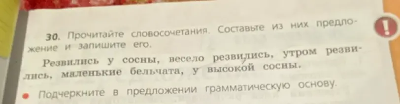 Составь предложение из словосочетаний: резвились у сосны, весело резвились, утром резвились, маленькие бельчата, у высокой сосны и подчеркни в предложении грамматическую основу.