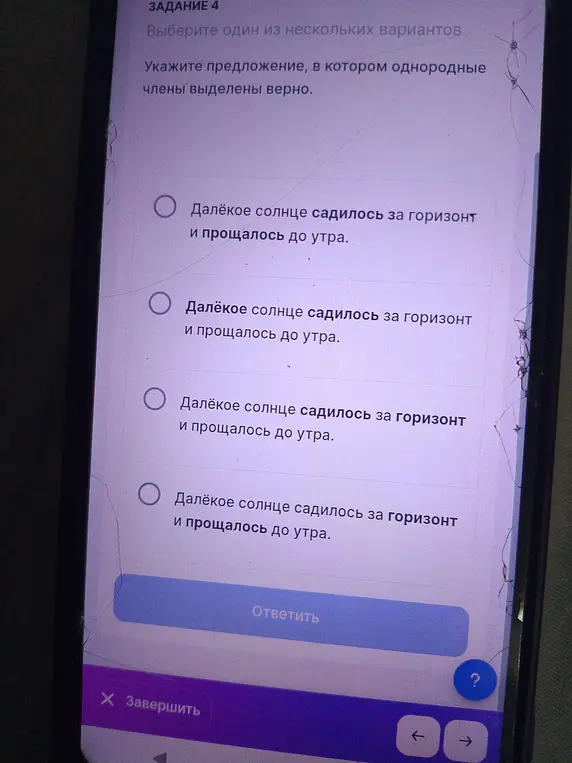 Выбери предложение, в котором однородные члены выделены верно.