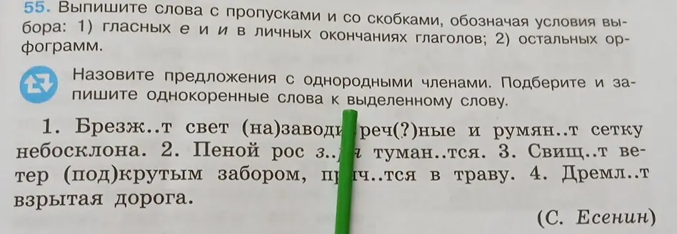 Найди предложения с однородными членами и запиши однокоренные слова к выделенному слову в первом предложении