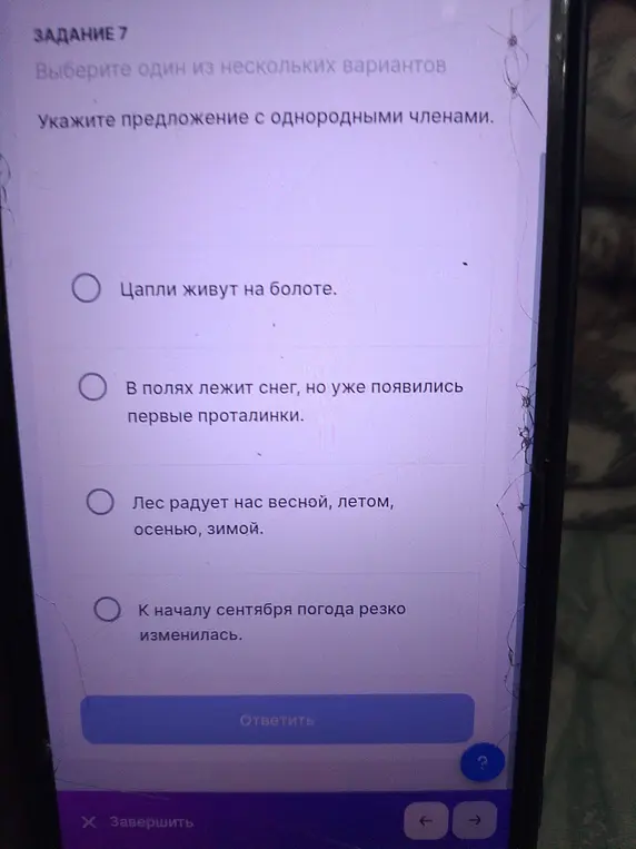 Укажи предложение с однородными членами.