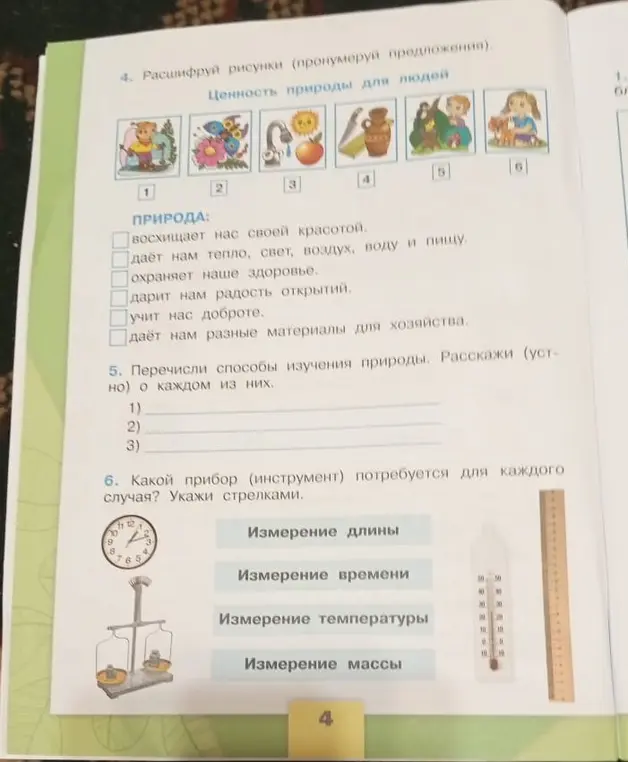 Расшифруй рисунки (пронумеруй предложения)