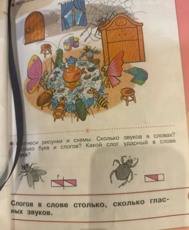 Определи количество букв и слогов, а также ударный слог в словах "муха" и "жук".