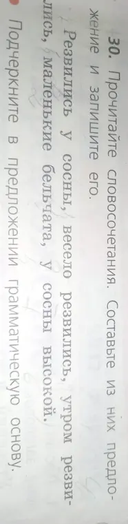 Подчеркни в предложении грамматическую основу.