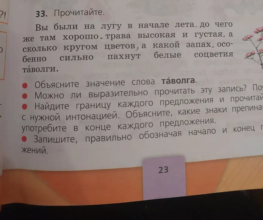 Объясни значение слова таволга, прочитай выразительно запись, найди границу каждого предложения и прочитай с нужной интонацией, объясни, какие знаки препинания употребить в конце каждого предложения и запиши, правильно обозначая начало и конец предложений