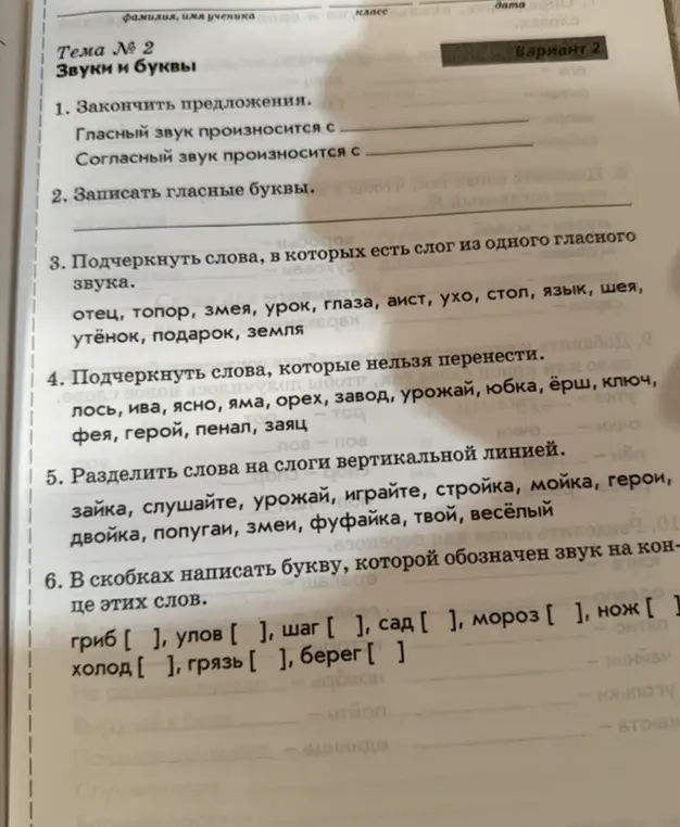 Выполни упражнения по русскому языку: закончи предложения, запиши гласные буквы, подчеркни слова с одним гласным звуком, которые нельзя перенести, раздели слова на слоги, напиши букву, обозначающую звук на конце этих слов.