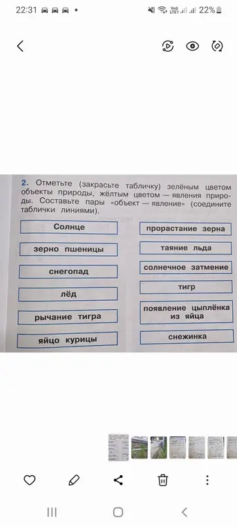Составь пары "объект — явление"