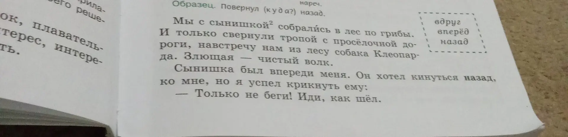 Какие наречия из рамочки можно вставить в текст?