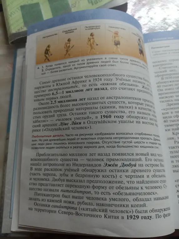 Сделай краткий пересказ текста