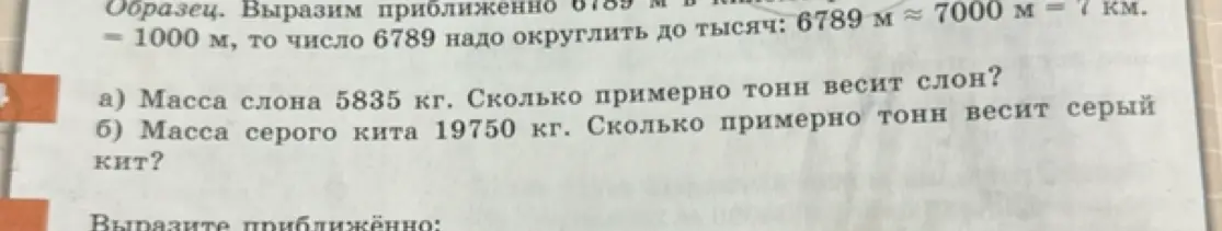 Определи, сколько тонн весит слон массой 5835 кг и серый кит массой 19750 кг.
