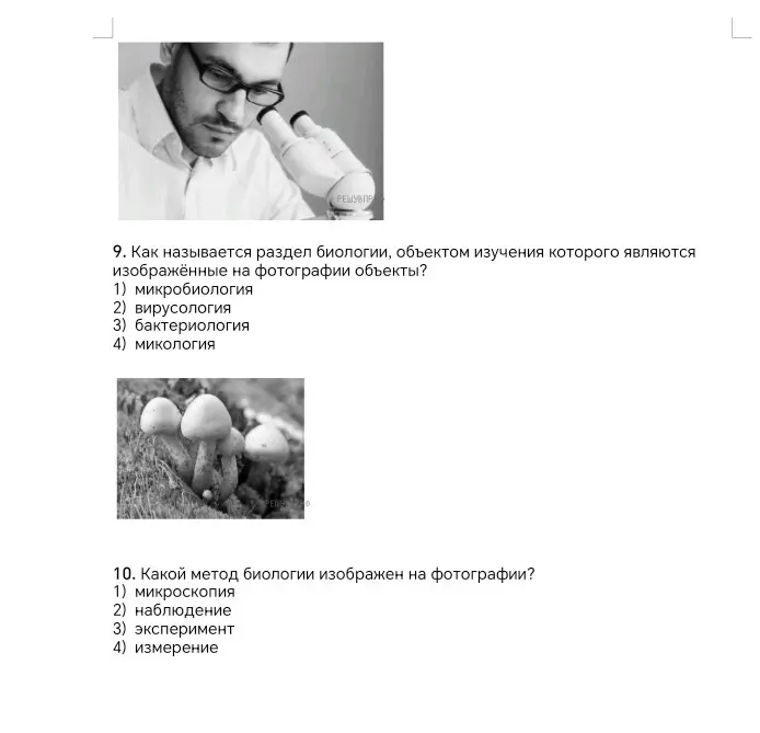 Помоги мне ответить на вопросы по биологии: Как называют специалиста-зоолога, объектом изучения которого является изображённое на фотографии животное? Как учёные-биологи называют явление, когда амёба реагирует на свет? Как называют научный метод, которым пользуется изображённый на фотографии учёный-зоолог? Как называется раздел биологии, объектом изучения которого являются изображённые на фотографии объекты? Какой метод биологии изображен на фотографии?
