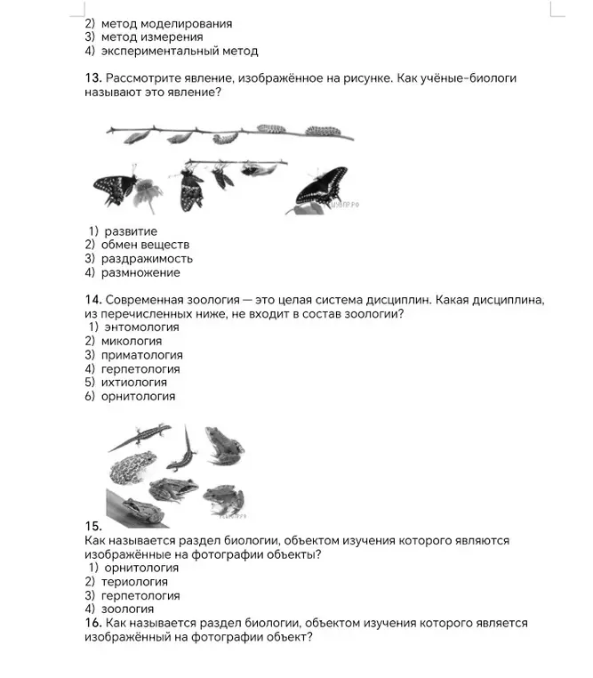 Как называют специалиста-зоолога, объектом изучения которого является изображённое на фотографии животное?