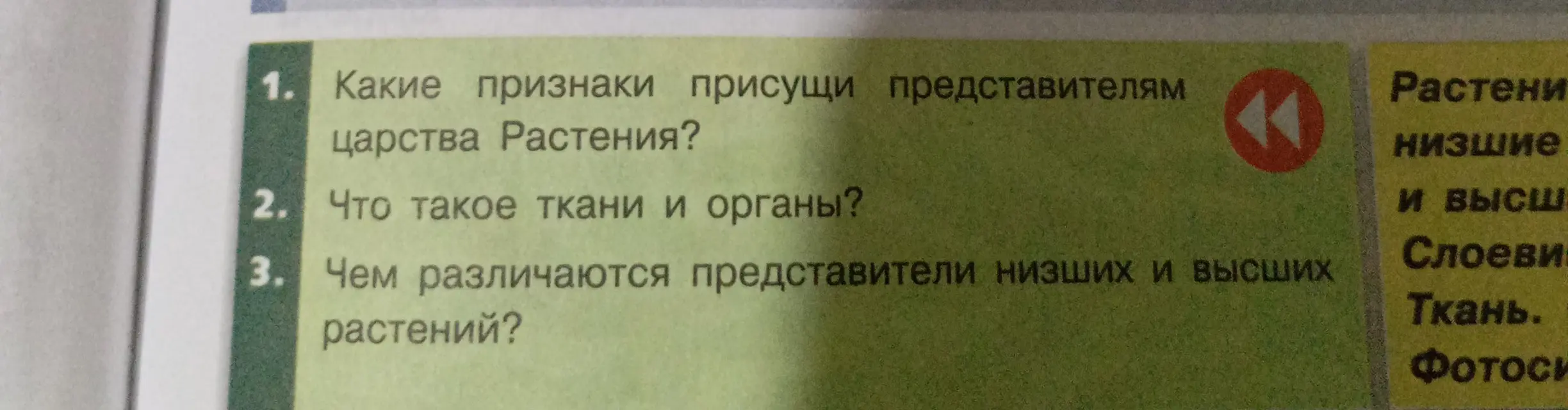 Какие признаки присущи представителям царства Растения?