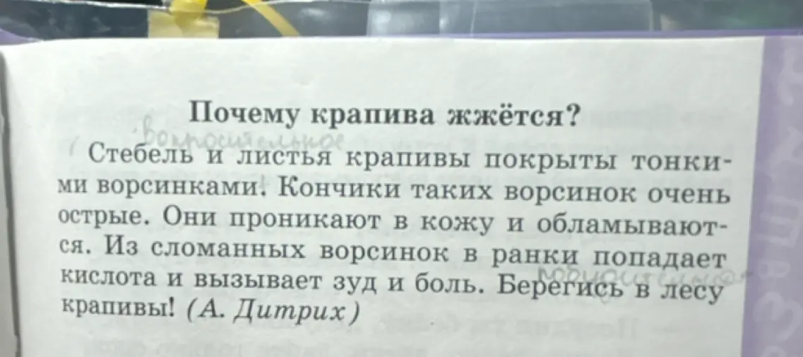 Объясни, почему крапива жжётся