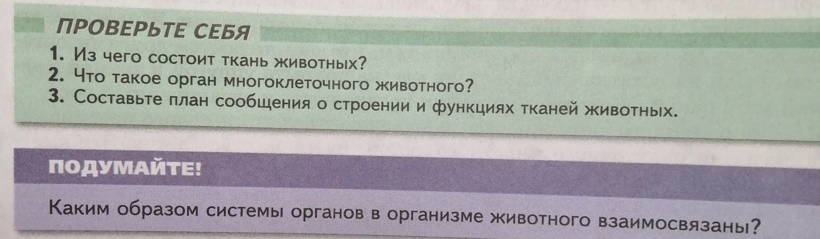 Ответь на вопрос "Из чего состоит ткань животных?"