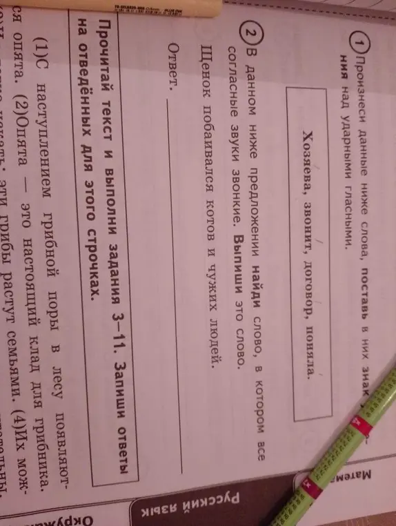 Ты просишь поставить ударение в словах "хозяева", "звонит", "договор", "поняла" и найти слово со всеми звонкими согласными в предложении "Щенок побаивался котов и чужих людей".