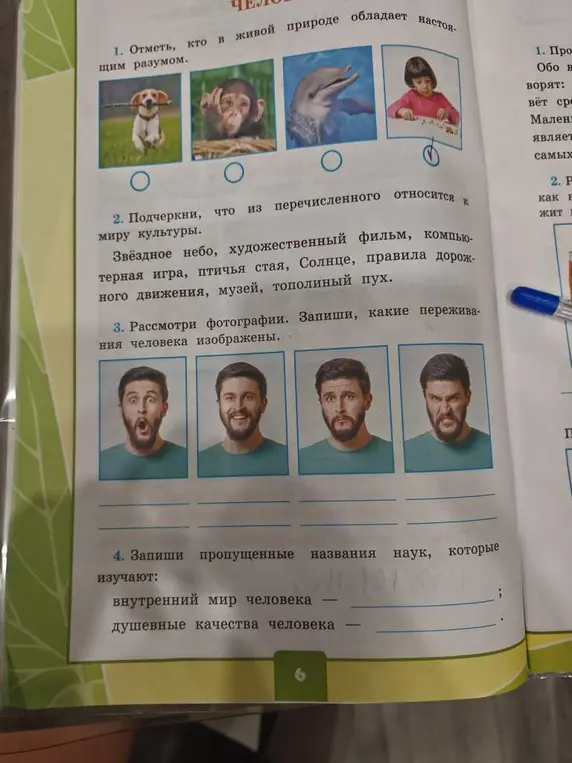 Отметь, кто в живой природе обладает настоящим разумом