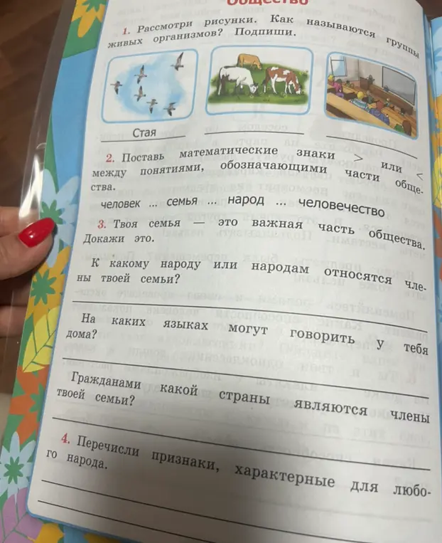 Ответь на вопросы по картинке об обществе