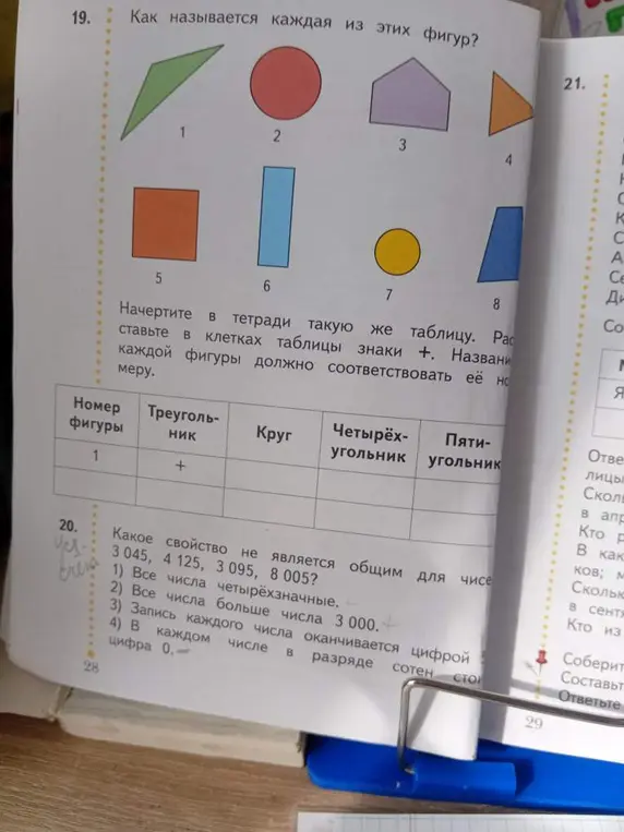 Определи название каждой фигуры на изображении и какое свойство не является общим для чисел 3045, 4125, 3095, 8005