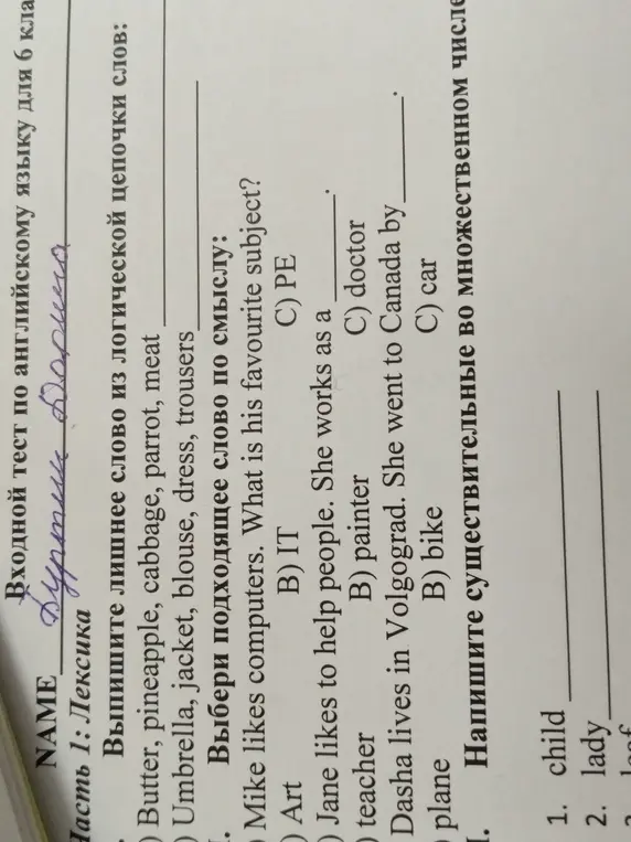 Выпиши лишнее слово из логической цепочки слов, выбери подходящее слово по смыслу и напиши существительные во множественном числе