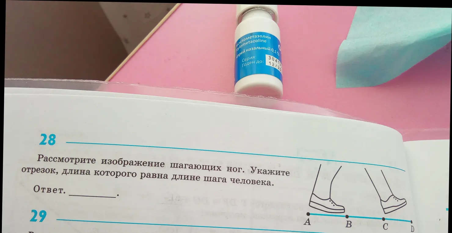 Укажи отрезок, длина которого равна длине шага человека