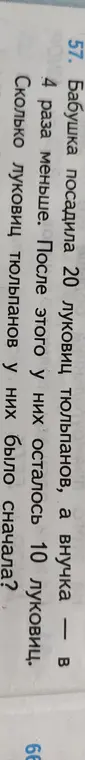 Реши задачу: бабушка посадила 20 луковиц тюльпанов, а внучка в 4 раза меньше. После этого у них осталось 10 луковиц. Сколько луковиц тюльпанов у них было сначала?