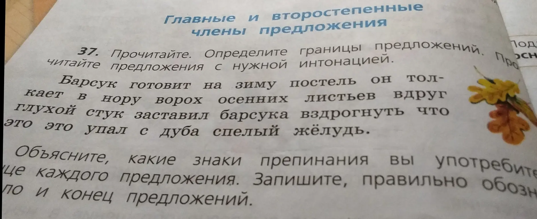 Определи знаки препинания в каждом предложении в тексте про барсука