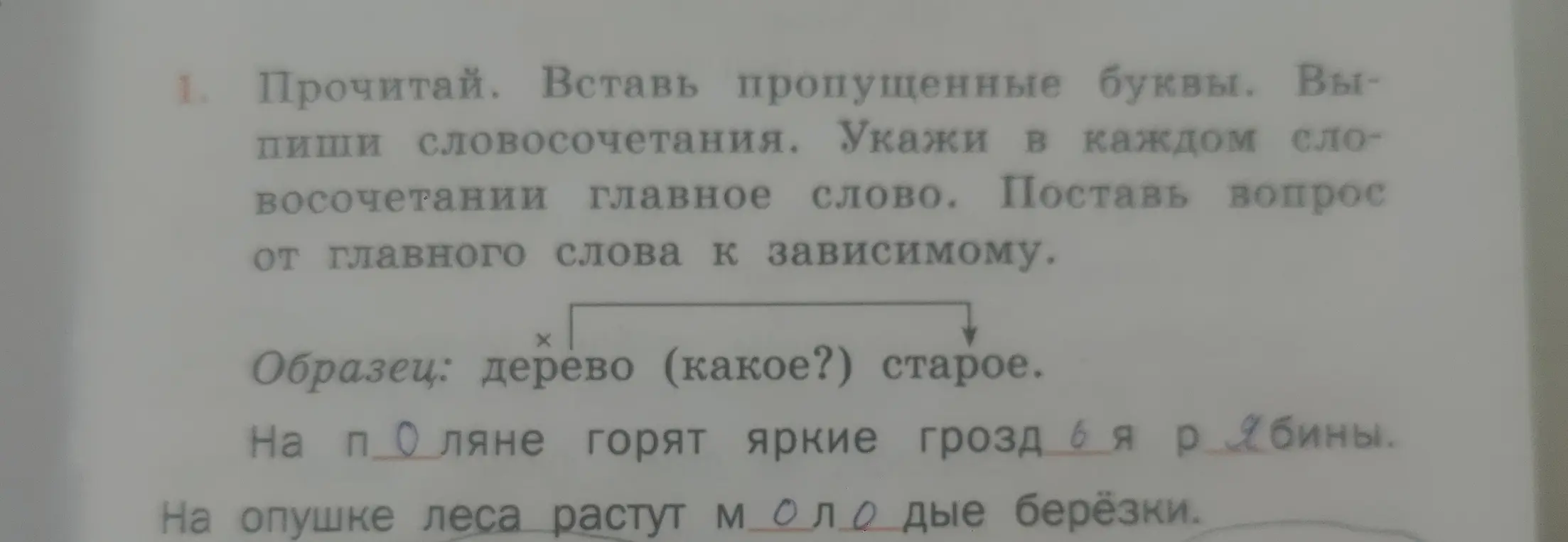 Помоги вставить пропущенные буквы и выписать словосочетания, указав главное слово и вопрос от главного к зависимому в предложениях: «На ... ляне горят яркие грозд ... я р ... бины» и «На опушке леса растут м ... олодые берёзки»