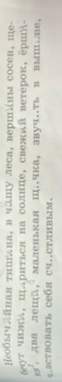 Какие буквы нужно вставить на месте пропусков в словах: щ..риться, щ..чка, звуч..ть, ч..вствовать, сч..стливым?