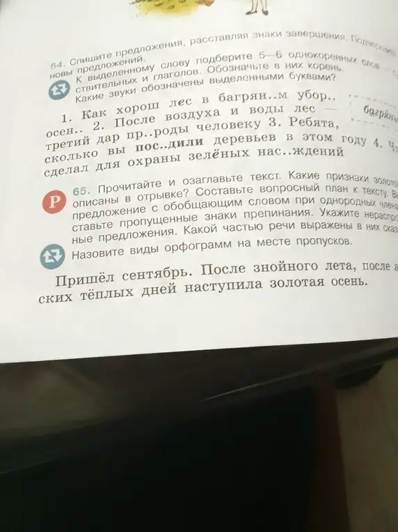 Помоги с упражнением 64: спиши предложения, расставляя знаки завершения
