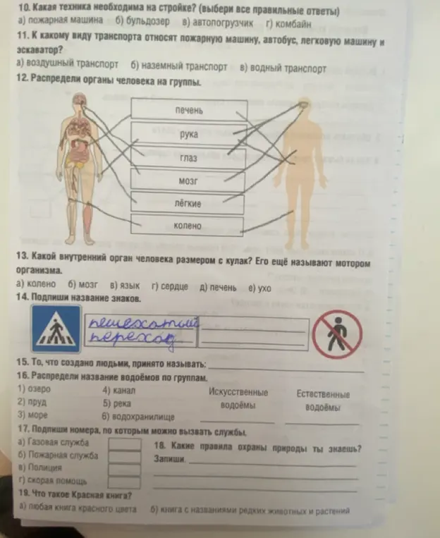 Ты просишь меня ответить на вопросы по ОБЖ: какая техника нужна на стройке, к какому транспорту относятся пожарная машина, какой орган называют мотором, и другие.