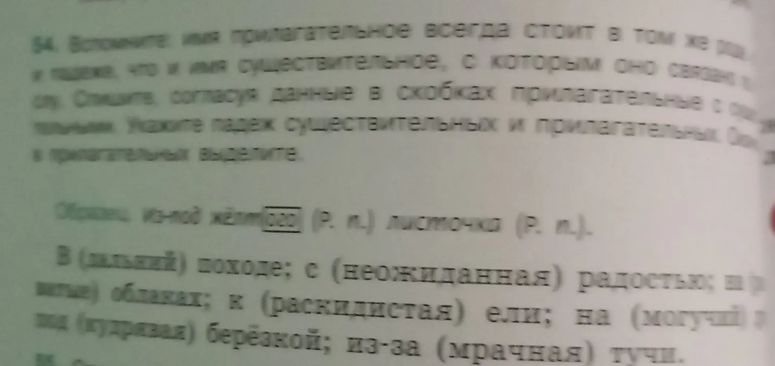 Согласуй данные в скобках прилагательные с существительными. Укажи падеж существительных и прилагательных.