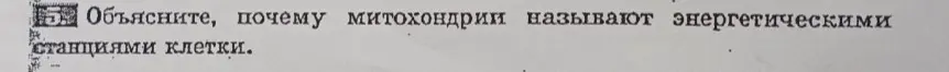 Объясни, почему митохондрии называют энергетическими станциями клетки.